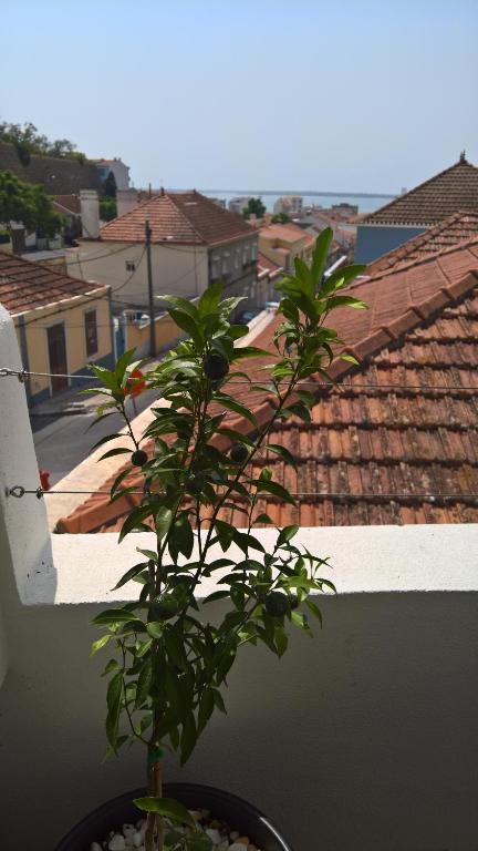 Casa do Viso room 5
